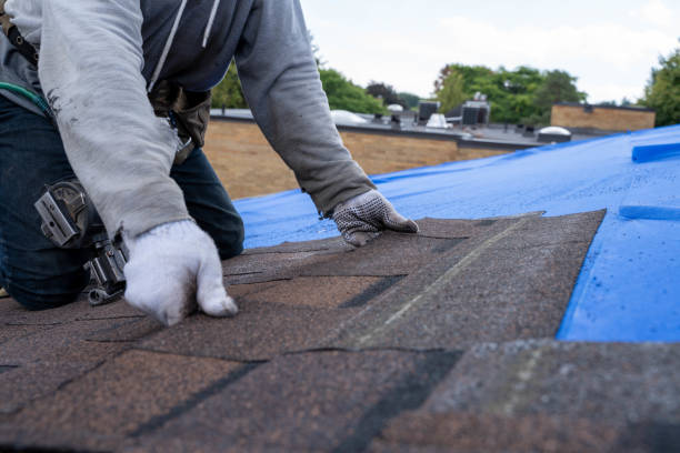 Trusted Monroe, IA Roofing Contractor Experts