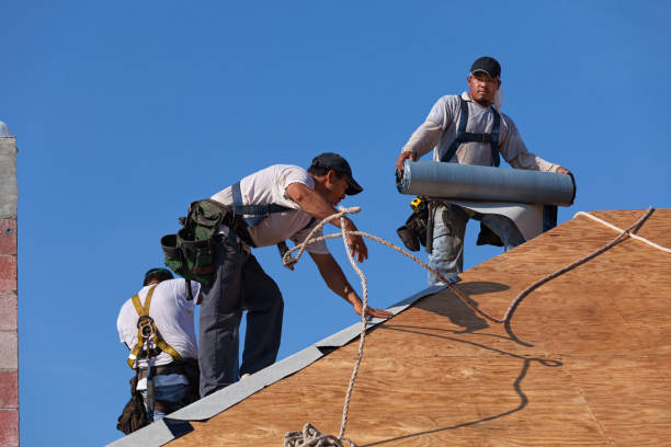 Best Local Roofing Companies  in Monroe, IA